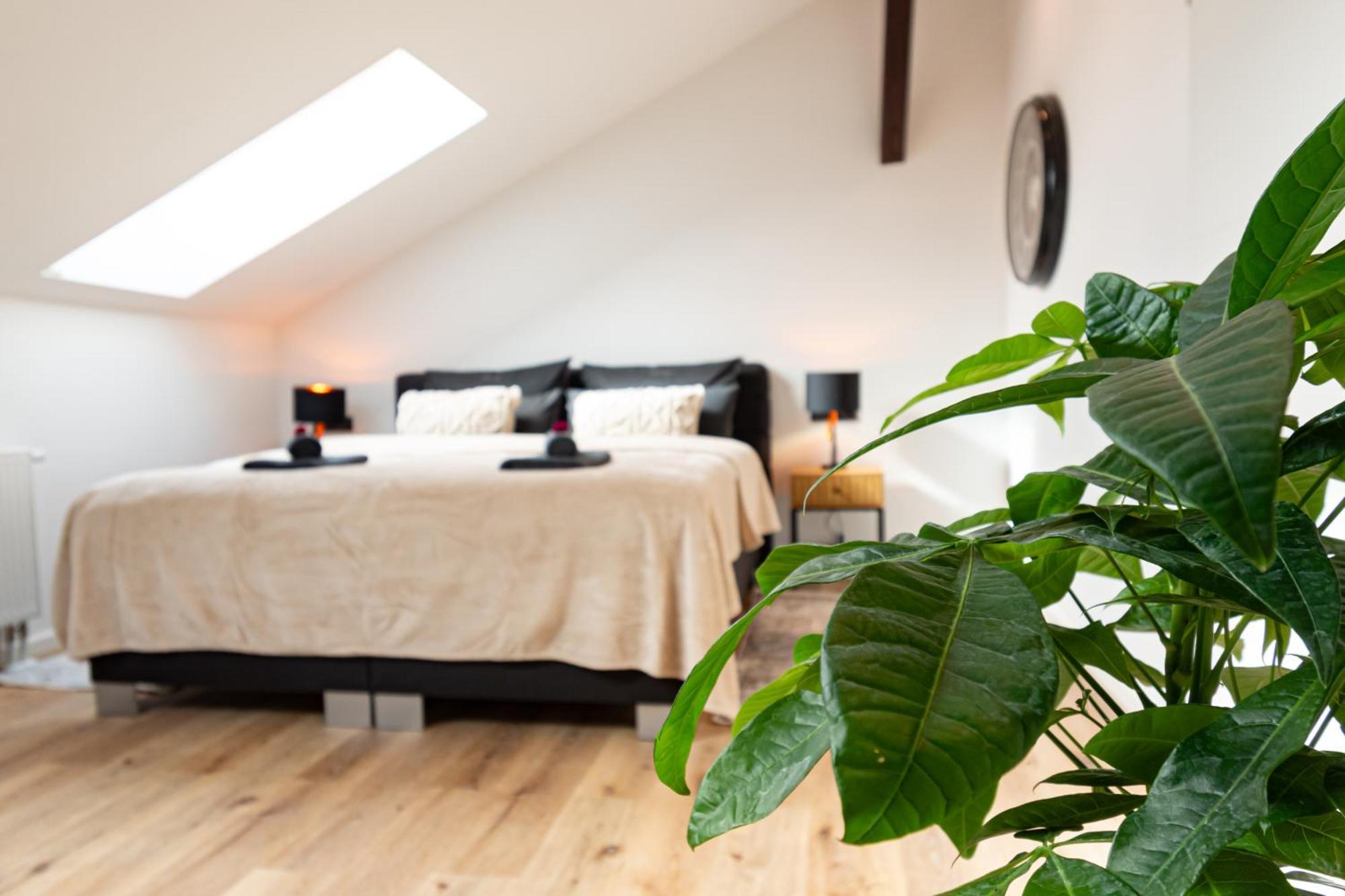 Sweethome - Zentral - Kueche & Parkplatz, Wifi Halle  Luaran gambar